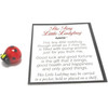 GANZ Glass Lucky Tiny Ladybug Pocket Charm & Story Card – Inspirational Mini Keepsake Gift