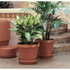 Bloem Dura Cotta Indoor/Outdoor Round Plastic Planter Saucer