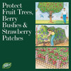 Dalen Bird-X Protective Mesh Netting, 28’ x 28’ - Fruit Trees and Berry Bushes