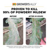 Grower's Ally Fungicide for Plants Plant Fungicide Treatment, 128oz Concentrate