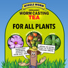 Wiggle Worm Pure Worm Castings Tea - Organic Liquid Fertilizer and Soil Amendment Concentrate for Indoor and Outdoor Plants