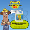Wiggle Worm Pure Worm Castings Tea - Organic Liquid Fertilizer and Soil Amendment Concentrate for Indoor and Outdoor Plants
