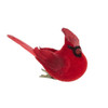 Kurt Adler Red Flocked Cardinal Clip-on Ornaments, Set of 2 Assorted