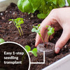 Jiffy Seed 42mm Expanding Seed Starting Pellet Refills for Trays, 25 Pellets