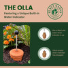 Plant Nanny Olla, Watering for Gardens, Potted Plants, and Greenhouses, Terracotta, 3 Liters