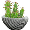 Classic Home and Garden Indoor/Outdoor Cement Succulent Planter with Drainage Hole, Sea Shell, Gray, 5"