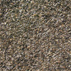 Cole's Niger Bird Seed