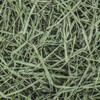 Standlee Premium Orchard Grass – Healthy Forage for Rabbits, Guinea Pigs, and Small Herbivores