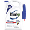 Roundup Weed & Grass Killer with Trigger Sprayer, Best Around Flower Beds, Trees, and Driveways, 1 Gal