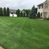 Jonathan Green Veri-Green Lawn Fertilizer and Weed Control Bundle, 15,000 sq ft