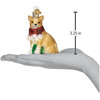 Old World Christmas Blown Glass Ornament for Christmas Tree, Chubby Chihuahua