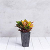 Novelty ArtStone Tall Ella Flower Box, Black 19.5"