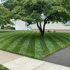 Jonathan Green Lawn Fungus Control