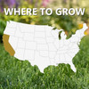 Jonathan Green Black Beauty Golden State California Premium Grass Seed Mix