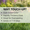 Jonathan Green Touch-Up Fast-Germinating Elite Perennial Ryegrass Blend