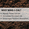 Jonathan Green MAG-I-CAL Natural Soil Food for Lawns in Acidic Soils