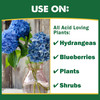 Espoma Organic Soil Acidifier – Lowers Soil pH and Turns Hydrangeas Blue
