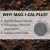 Jonathan Green MAG-I-CAL Plus Soil Food for Lawns in Alkaline & Hard Soil