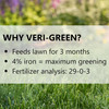 Jonathan Green VERI-GREEN 29-0-3 Slow-Release Lawn Food