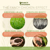Fancy Chicken Pelleted Organic Lawn & Garden Food, 100% Dried Poultry Manure Fertilizer, 40lb (Covers up to 10,000 sq ft)