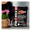 Premier Horticulture PRO-MIX Premium Moisture Potting Mix, 8 Quarts