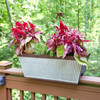 Southern Patio Westlake Resin Rectangular Deck Rail Planter, Rustic Galvanized and Silver, 24in Southern Patio Westlake Resin Rectangular Deck Rail Planter, Rustic Galvanized and Silver, 24in