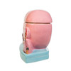 Kurt Adler I Love Lucy Chocolate Factory Cookie Jar Holiday Table Decoration, Pink, 9.6" Kurt Adler I Love Lucy Chocolate Factory Cookie Jar Holiday Table Decoration, Pink, 9.6"