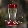 More Birds Bird Health+ Big Gulp Hummingbird Feeder, Red, 40 Ounces
