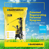 Barenbrug Turf Star RPR Perennial Ryegrass Seed with Yellow Jacket Coating, 25lb