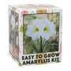 Netherland Bulb Company Easy to Grow Galaxy White Amaryllis Kit
