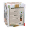Netherland Bulb Company Easy to Grow Galaxy White Amaryllis Kit
