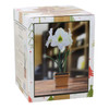 Netherland Bulb Company Easy to Grow Galaxy White Amaryllis Kit