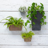 Root & Vessel Ella Self-Watering, Weather-Resistant Artstone Wall Planter