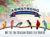 Armstrong Wild Bird Food Royal Jubilee Persistence Granola Stack, 7.05oz