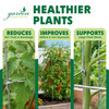 Garden Elements Square 8-Leg Heavy-Duty Collapsible Tomato Cages, 40in H (Pack of 3)