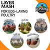 Keystone Organics USDA Certified Layer Mash Chicken Feed, 44lbs