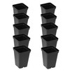 SUNPACK 2.5" Square Seedling Pot for Indoor Gardening (Pack of 10)