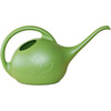 Novelty Indoor Watering Can – Durable Plastic with Long-Spout & Ergonomic Handle, Green, 0.5 Gal