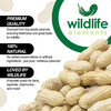 Wildlife Elements Peanut Party Raw In-Shell Peanuts – Natural, Nutrient-Rich Wildlife Food for Birds, Squirrels & Waterfowl, 10lb