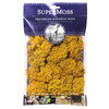 SuperMoss Preserved Reindeer Moss, Mango, 2oz