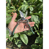 Radius Garden Carbon Steel Bypass Pruning Shears, 9in