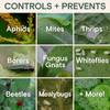 Arber Bio Insecticide Concentrate for Garden Pest Control, 16 fl oz