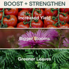 Arber Organic Plant Food 3-2-1 Indoor/Outdoor Fertilizer Concentrate, 1 Pint