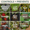 Arber Organic Bio Protectant Disease Control and Fertilizer Concentrate, 1 Pint