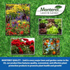 Monterey Iron Combo 1-0-2 Fertilizer Concentrate, 4% Iron Plus Micronutrients