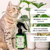 Urban Gardener All Natural Leaf Radiance for Leaf Shine, 8oz