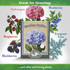 Down to Earth Garden Sulfur All Natural Soil Acidifier Amendment, 5lbs