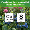 Down to Earth Garden Sulfur All Natural Soil Acidifier Amendment, 5lbs