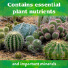 Down to Earth Cactus & Succulent 2-4-8 All Natural Fertilizer