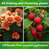 Down to Earth Island Phosphate 0-11-0 All Natural Fertilizer, 5lbs